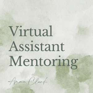 Virtual Assistant Mentoring
