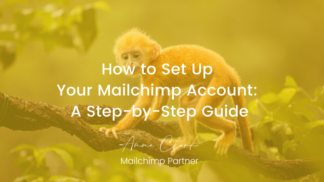 How to Set Up Your Mailchimp Account: A Step-by-Step Guide