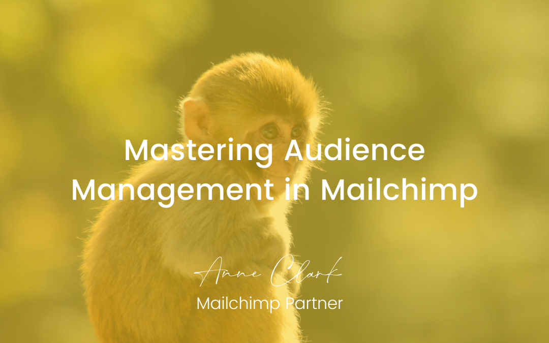 Mastering Audience Management in Mailchimp