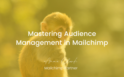 Mastering Audience Management in Mailchimp